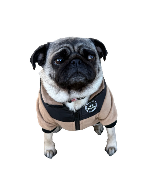 BillieG Teddy Fleece Fawn & Black