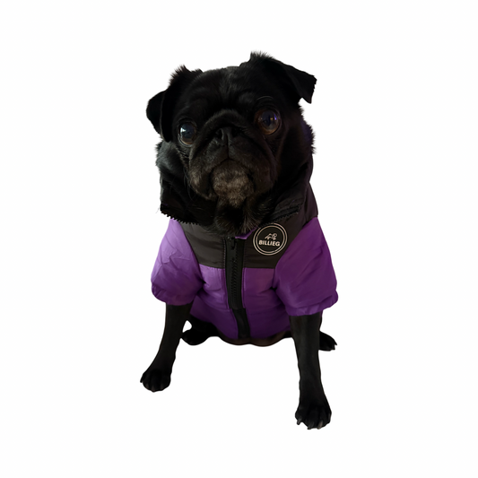 BillieG Puffer Jacket Purple & Black