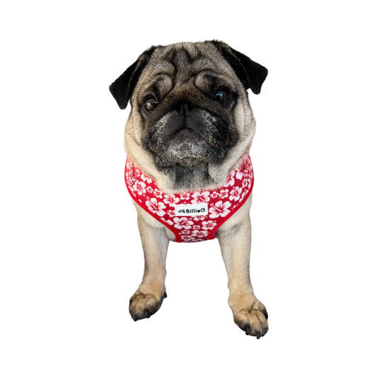 BillieG Red Surfs Up Adjustable Vest Harness - Large