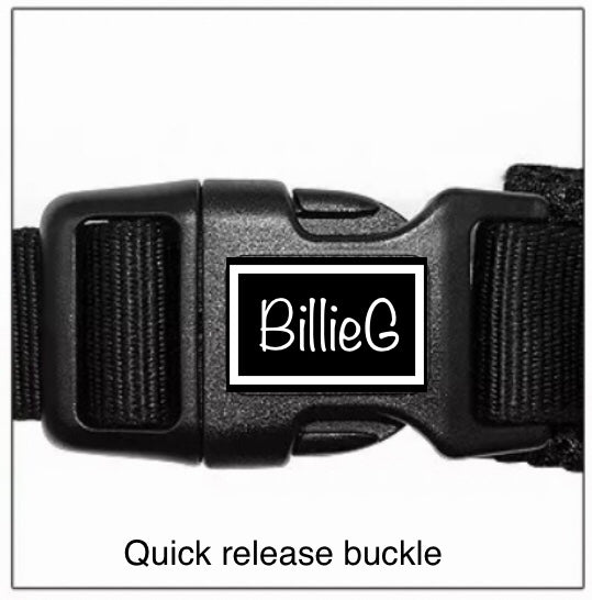BillieG stylish easy fit, no pull, adjustable multipurpose quick release dog harness