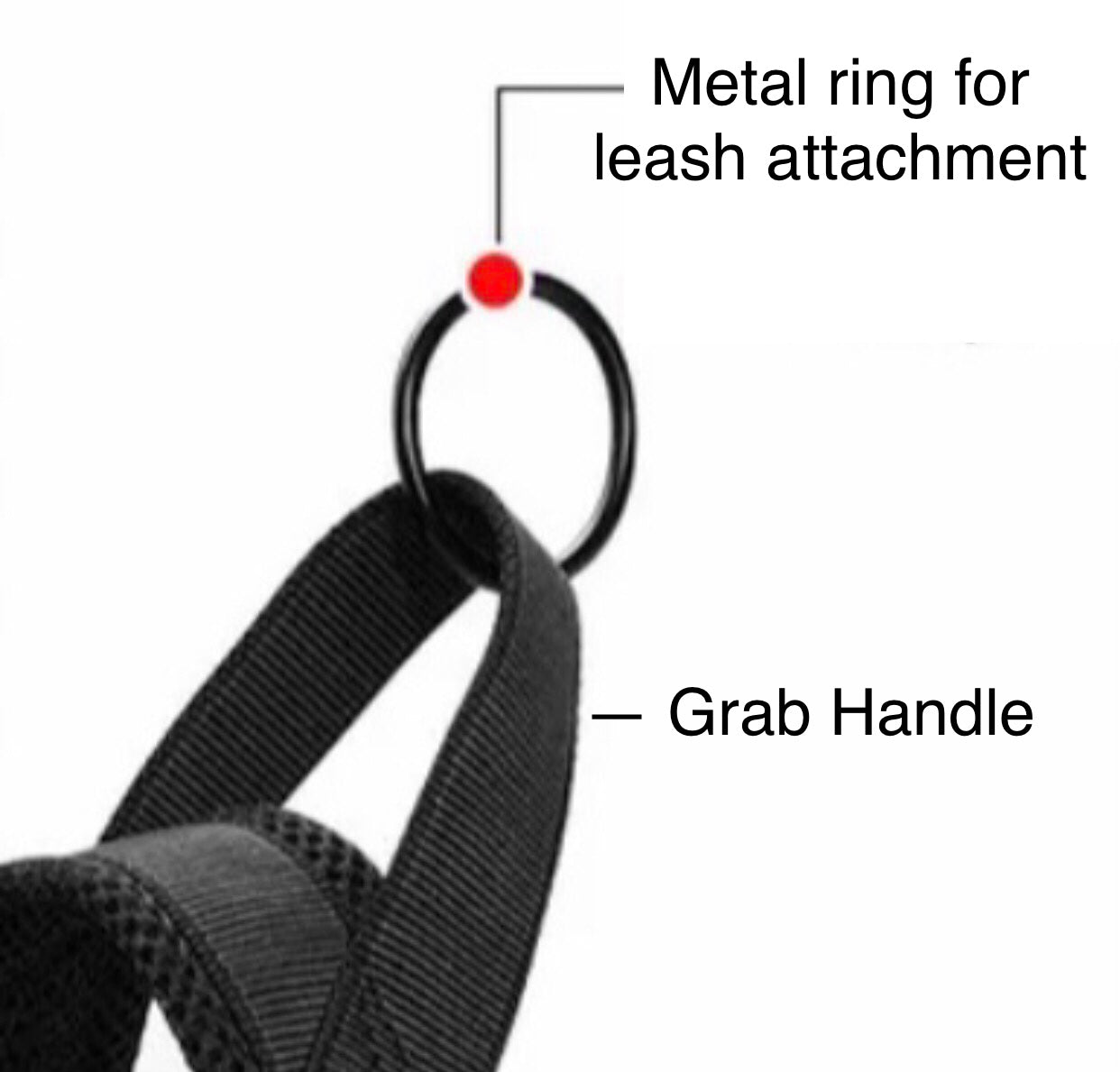 BillieG stylish easy fit, no pull, adjustable multipurpose quick release dog harness