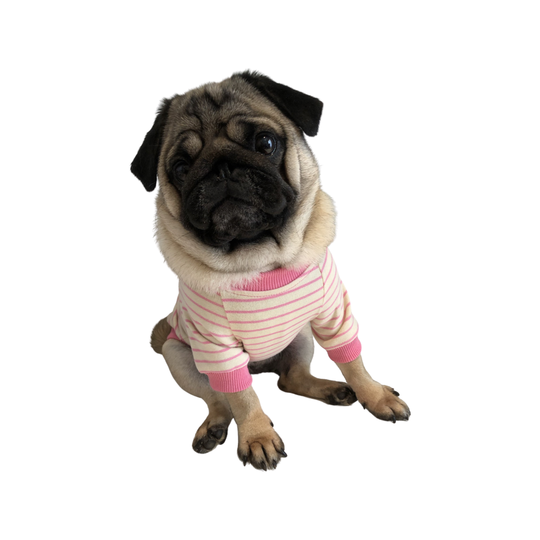 BillieG Striped Tee - Pink & White