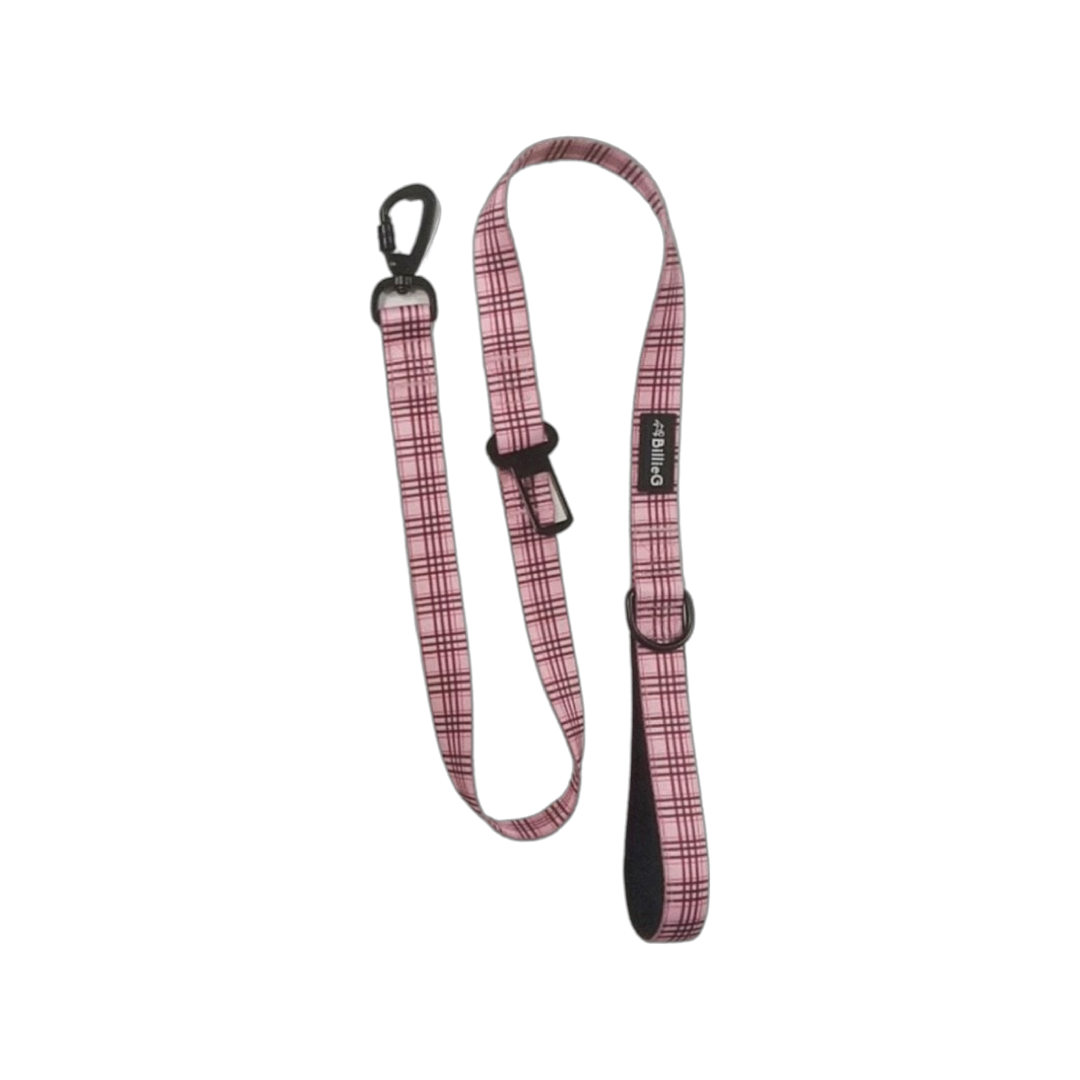 BillieG Stylish Nylon Dog Lead