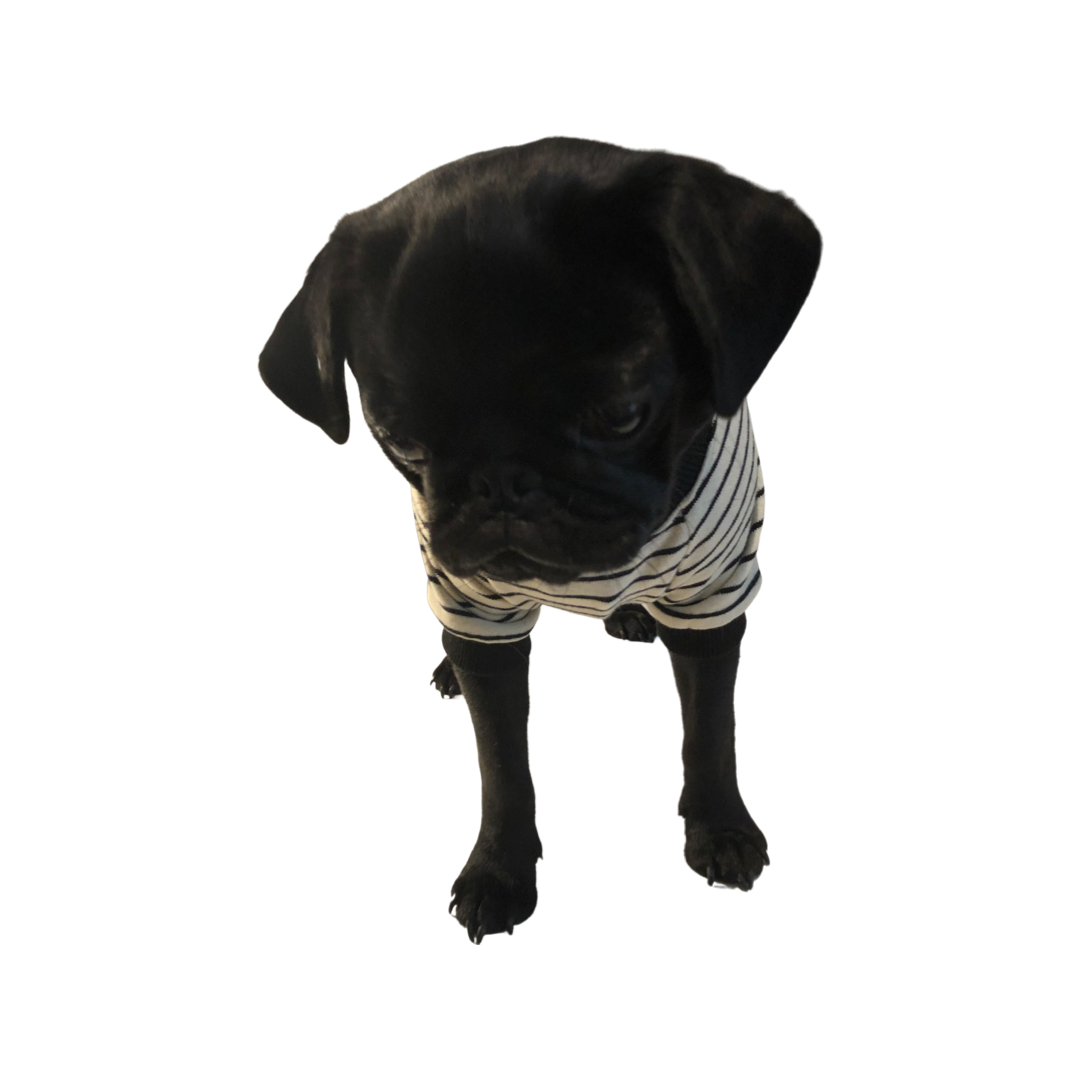 BillieG Striped Tee - Black & White