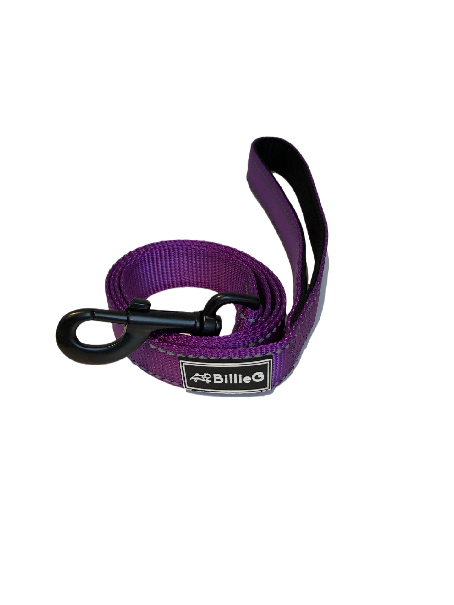 BillieG Stylish Nylon Dog Lead