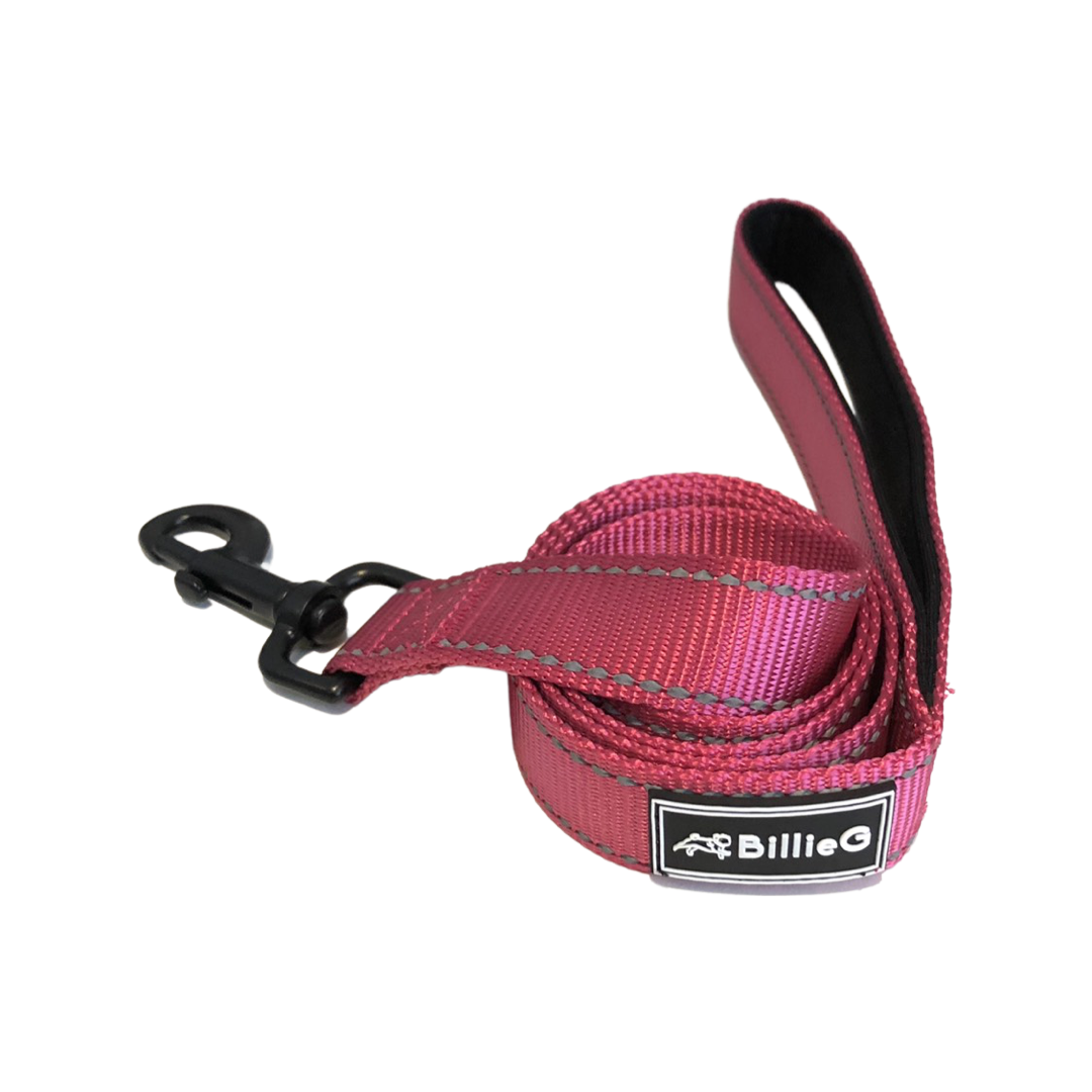 BillieG Stylish Nylon Dog Lead