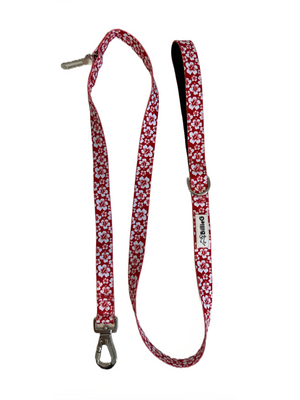 Stylish Nylon Dog Lead