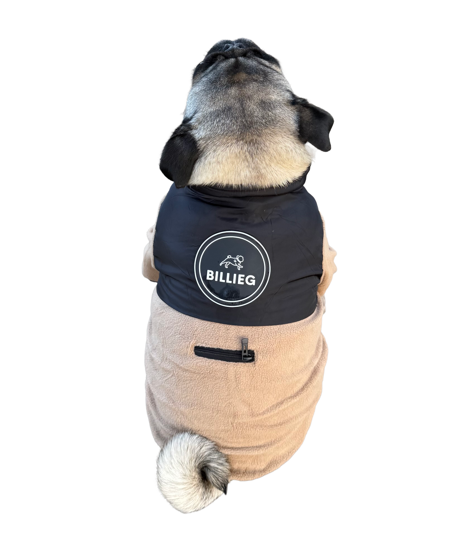 BillieG Teddy Fleece Fawn & Black