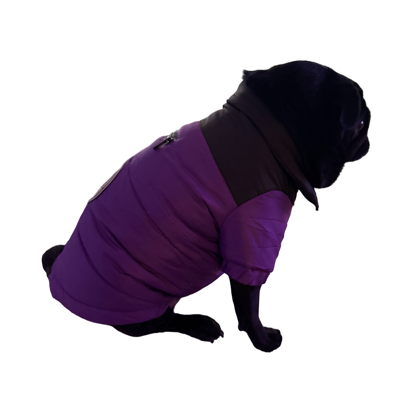 BillieG Puffer Jacket Purple & Black