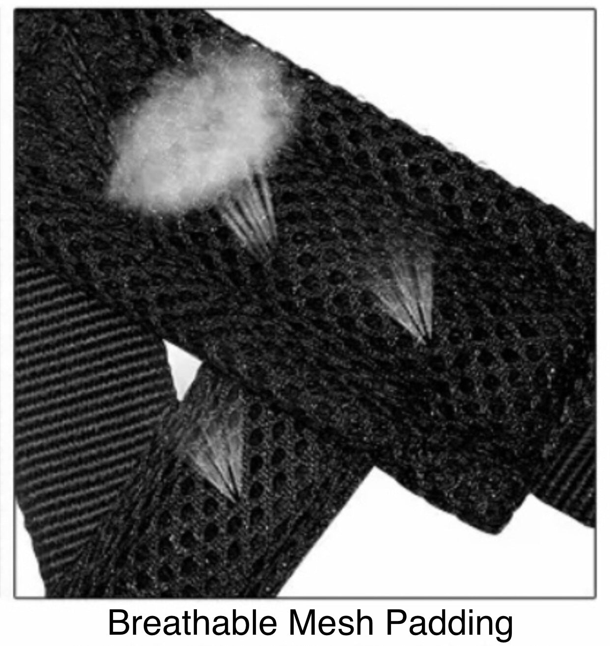 BillieG stylish easy fit, no pull, adjustable multipurpose quick release dog harness