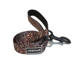 Stylish Nylon Dog Lead