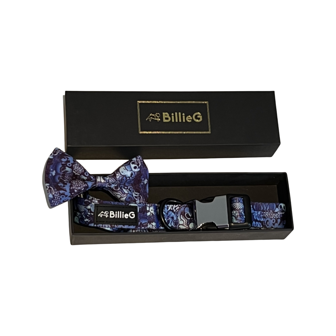 Blue Graffiti Nylon Collar & Bow Tie with Quick Release Silver Metal Buckle