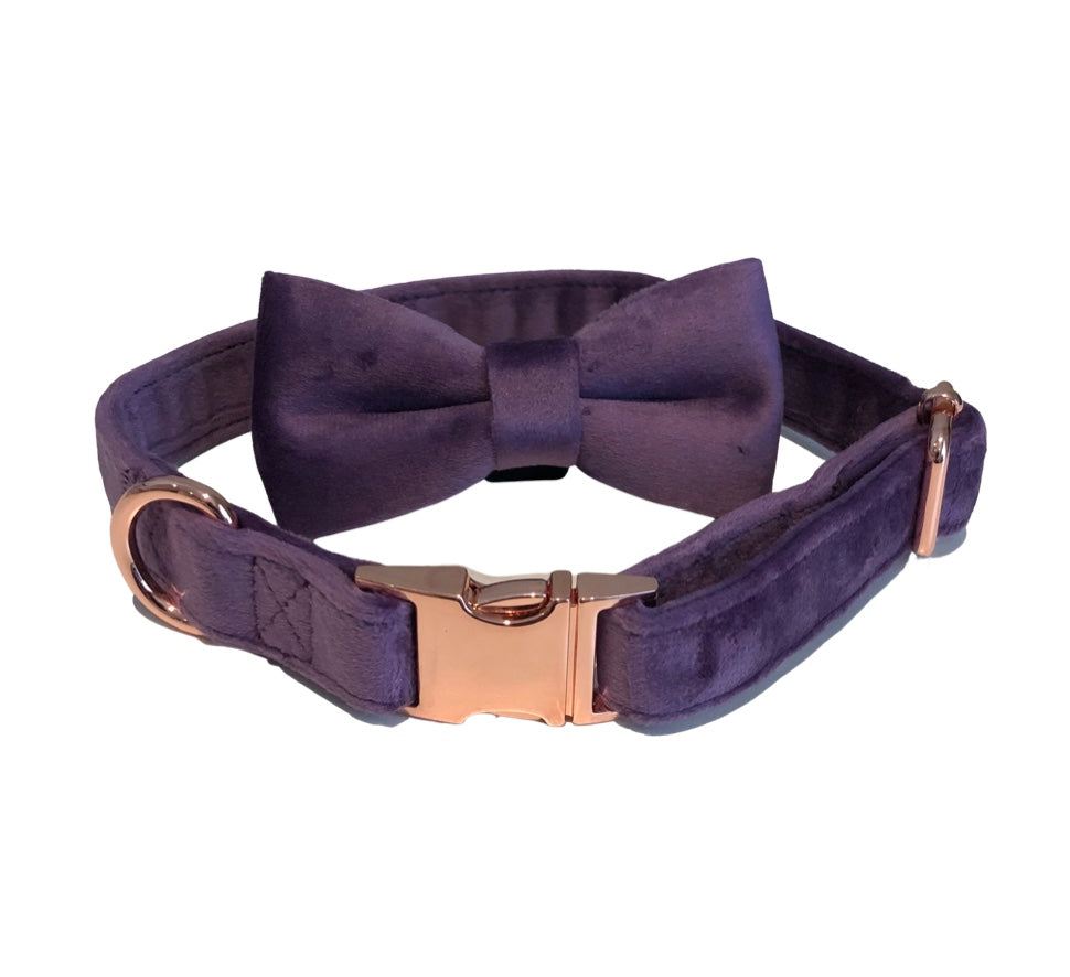 BillieG Velour Bow Tie & Dog Collar