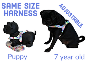 Stylish easy fit, no pull, adjustable multipurpose quick release dog harness