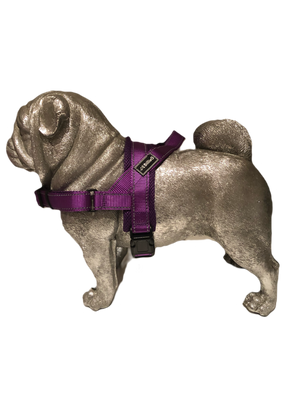 Pug harness hotsell phone number