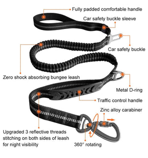 Heavy duty nylon dog lead with dual handles and car seat belt clip