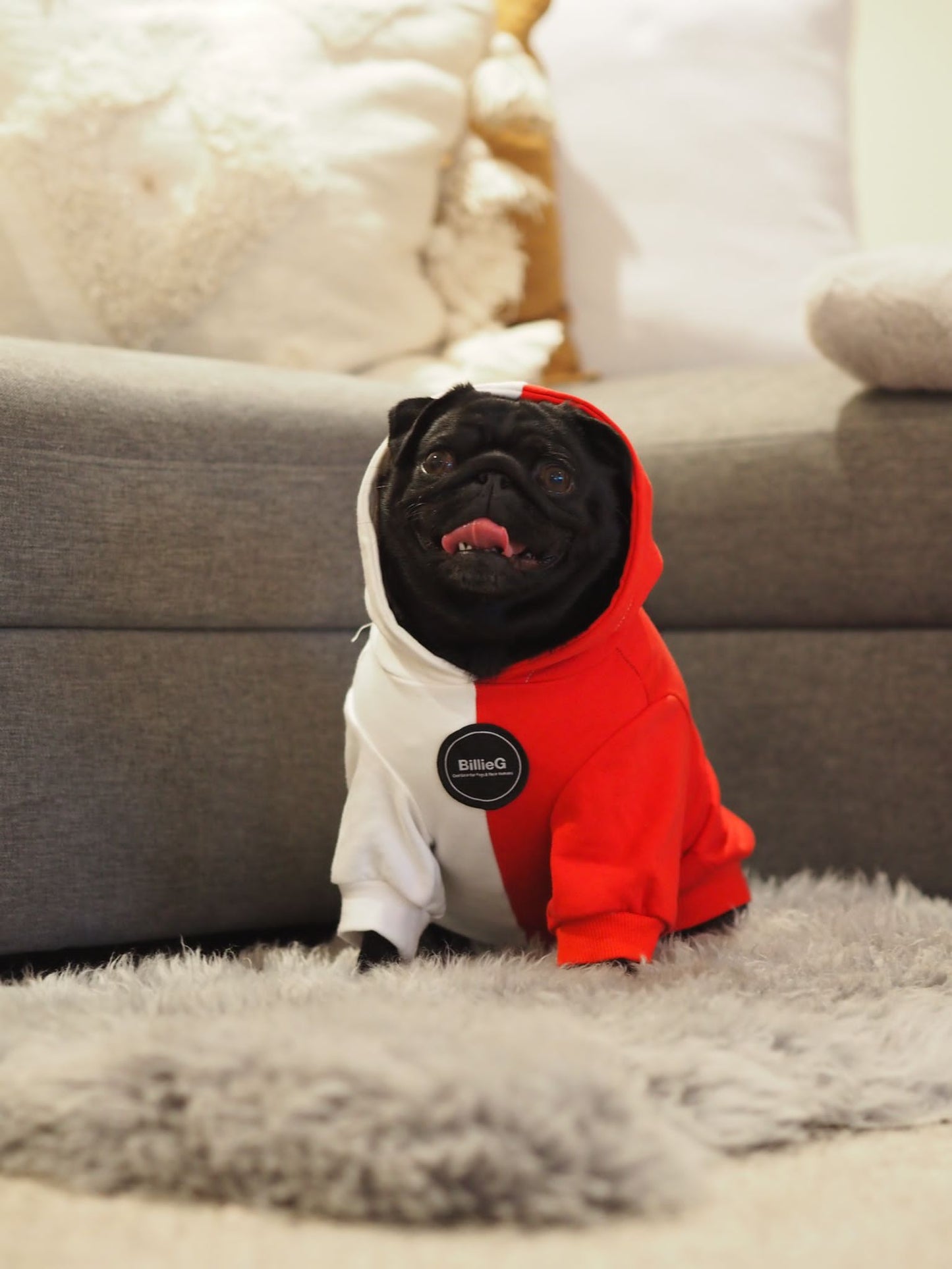 BillieG BFF 2 Tone Hoodie Dog - Red & White