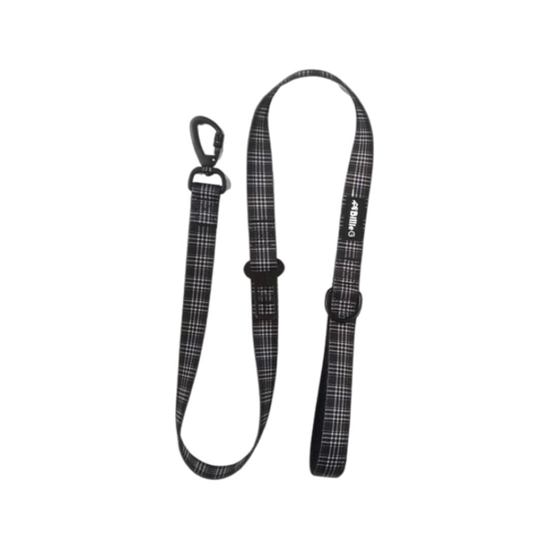 BillieG Stylish Nylon Dog Lead