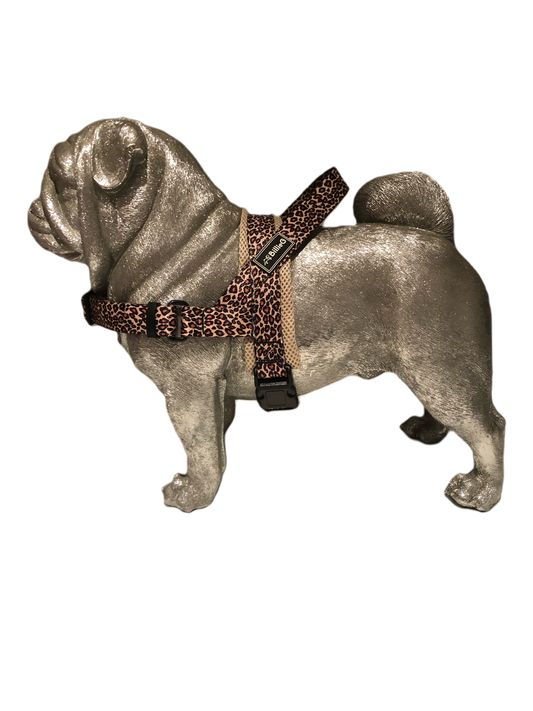 BillieG stylish easy fit, no pull, adjustable multipurpose quick release dog harness