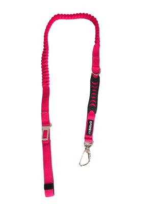 Heavy duty nylon dog lead with dual handles and car seat belt clip